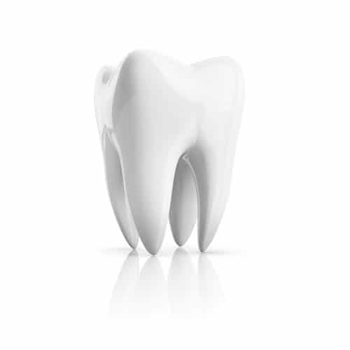 fort collins-dental-exam special offer