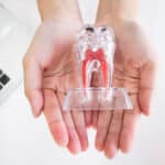 root-canal-awareness-week-what-you-need-to-know-about-saving-your-tooth